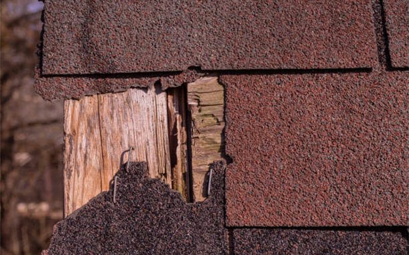 Top-Notch Roof Repair Services Guaranteed Portage, IN