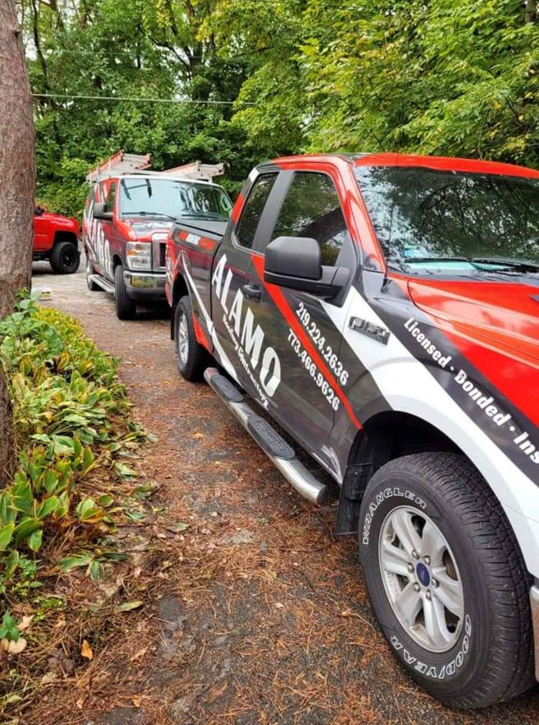 Two Alamo-branded service trucks are parked in a driveway surrounded by trees and greenery.