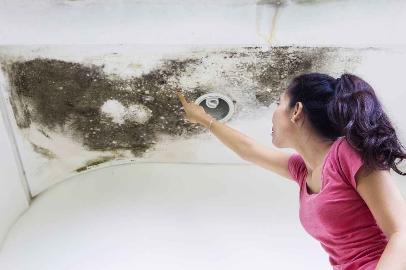 A woman in a pink shirt points at a large patch of black mold growing on a white ceiling near a recessed light. A woman in a pink shirt points at a large patch of black mold growing on a white ceiling near a recessed light.