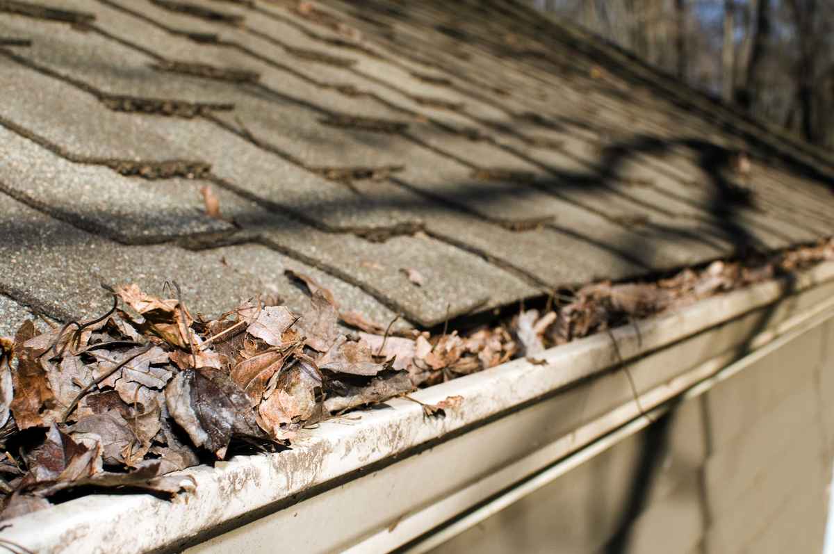 clogged gutters, roof maintenance