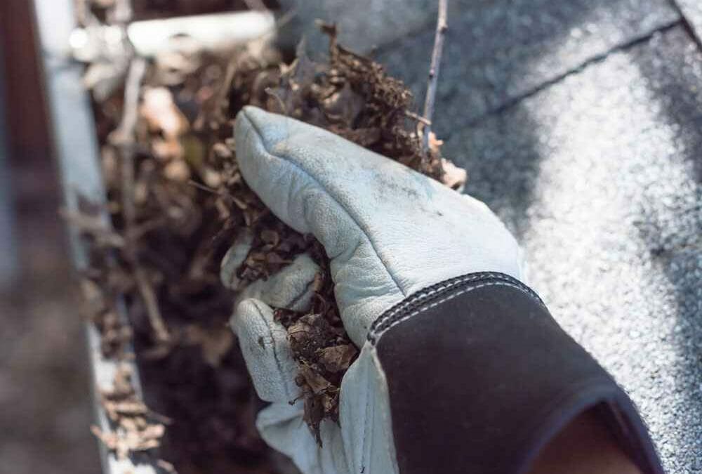 Everything You Need to Know About Preventative Roof Maintenance in Portage, Indiana