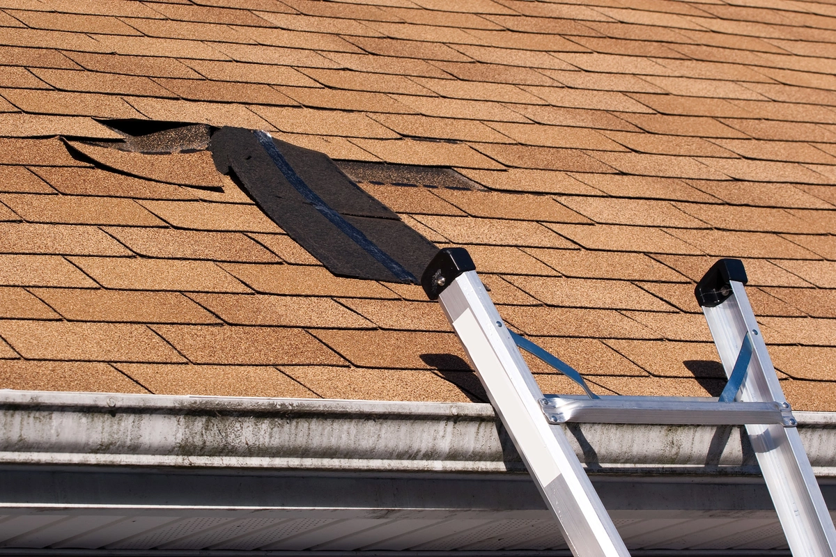 storm damage on roofing shingles