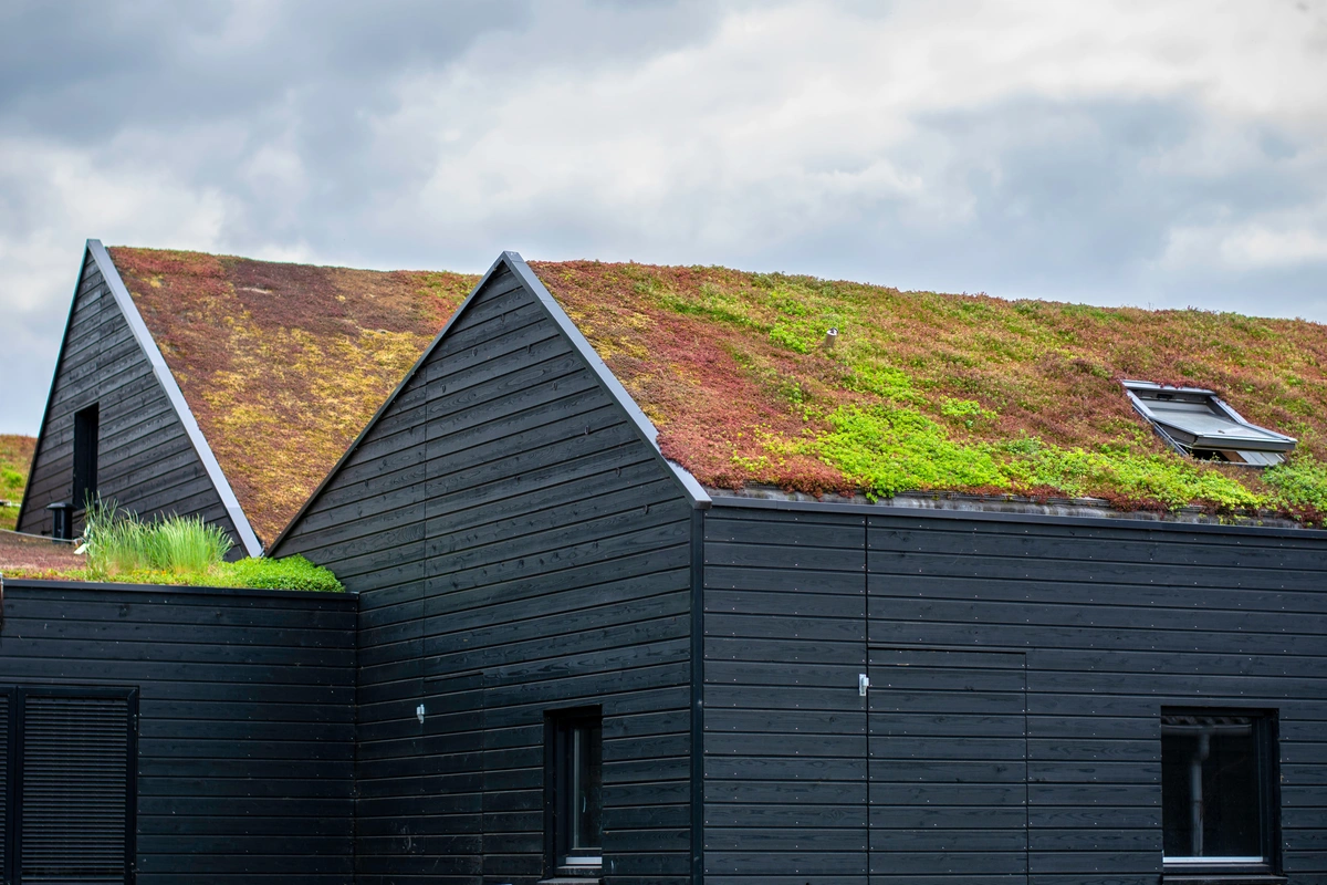 green roofing on the building 