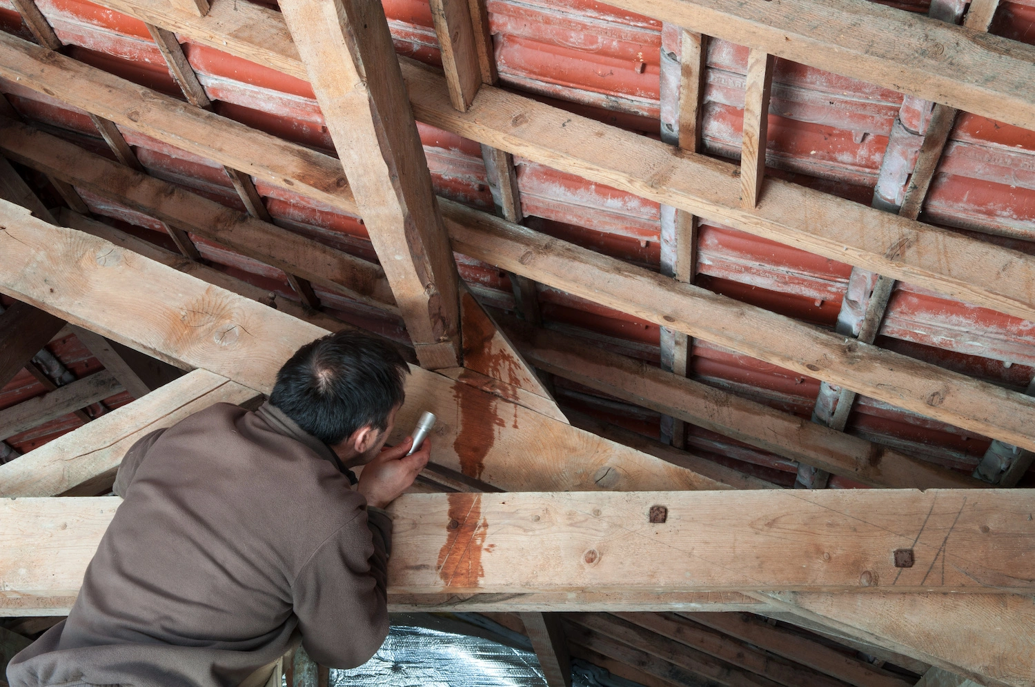 contractor inspecting roof leak in attic