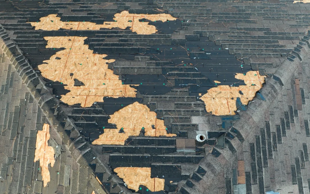 Roof Wind Damage: Find & Fix The Problem Fast