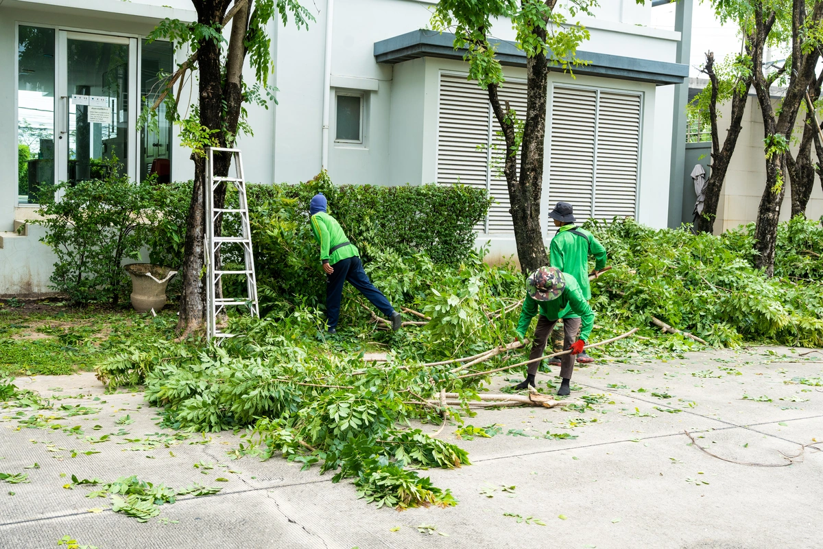 gardeners trimming tree branches to prevent roof damage
