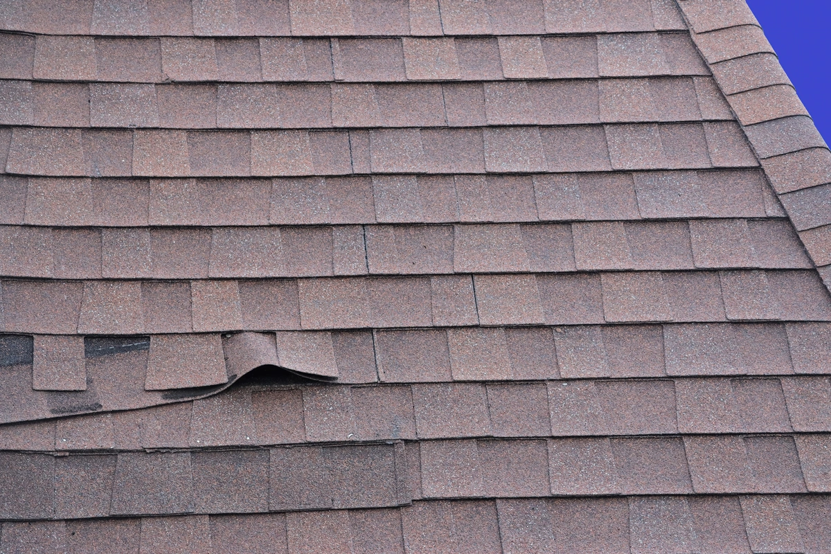 loose asphalt shingles from wind damage