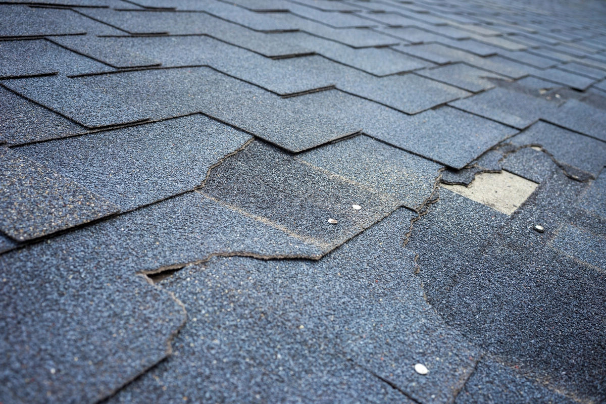 Close-up of an asphalt shingle roof with cracked, curling, and missing shingles revealing the underlying layer. Close-up of an asphalt shingle roof with cracked, curling, and missing shingles revealing the underlying layer.