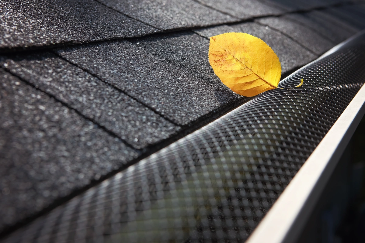 A single yellow leaf rests on top of a black gutter guard next to dark roof shingles. A single yellow leaf rests on top of a black gutter guard next to dark roof shingles.