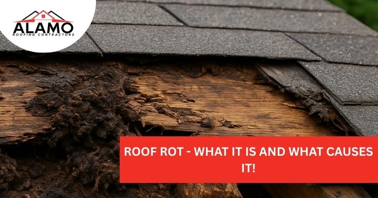Roof Rot – What It Is and What Causes It!